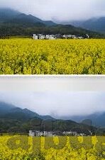 麻豆视频三级-严寒冬季，网络世界却在不动声色间，以各种形态滋润着人们的心灵花园。其中，关于麻豆视频三级这一话题，似乎在社交媒体偶尔的微光中，引发了人们的好奇与探讨