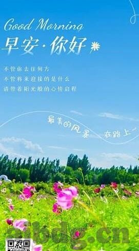 麻豆一区视频在线-麻豆一区视频——了解区别与注意事项
