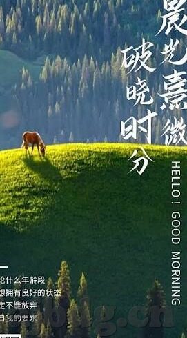 欧美一区二区三-欧美一区二区三，文化交汇与艺术碰撞的独特视角