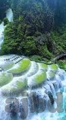 糖心app苹果商店名称-探秘糖心APP在苹果商店的别名之旅