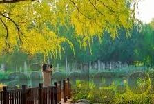 糖心app下载软件-热门分享，关于糖心app下载软件的深度了解与体验心得