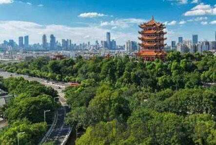 www.91麻豆av-91麻豆，探索成人文化与互联网的灰色地带